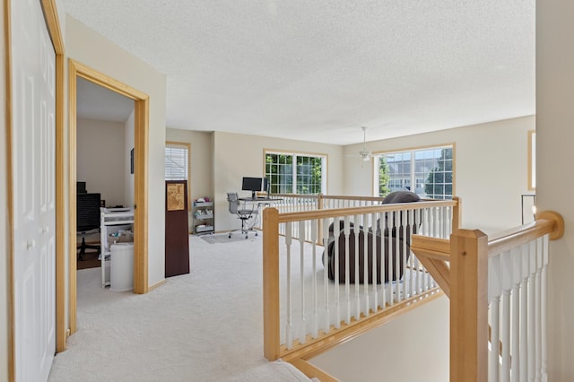 13915 52nd Ave N Unit 1204, Plymouth, MN 55446 - hallway featuring an office area, carpet floors, an upstairs landing, and a textured ceiling