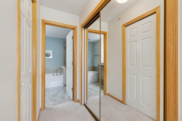 13915 52nd Ave N Unit 1204, Plymouth, MN 55446 - corridor featuring a textured ceiling and light carpet