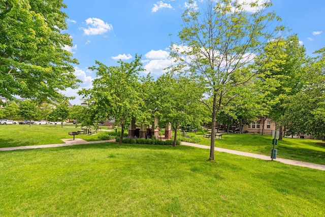 3640 Wooddale Ave S Unit 303, Saint Louis Park, MN 55416 - photo 31