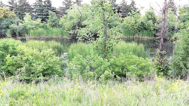 2236 Sacia Ln, Hudson, WI 54016 - view of woods