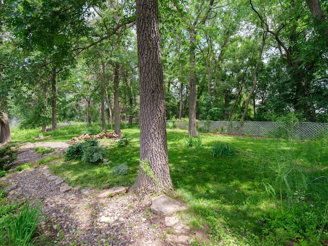 1618 Teton Ct NE, Rochester, MN 55906 - view of yard