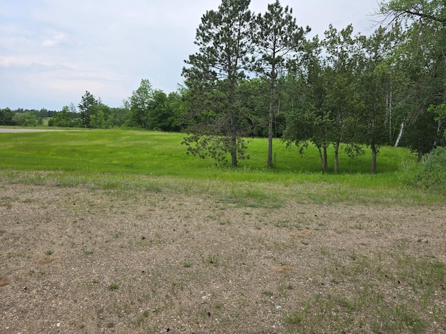 14901 County Highway 29, Burlington Twp, MN 56544 - view of undeveloped land