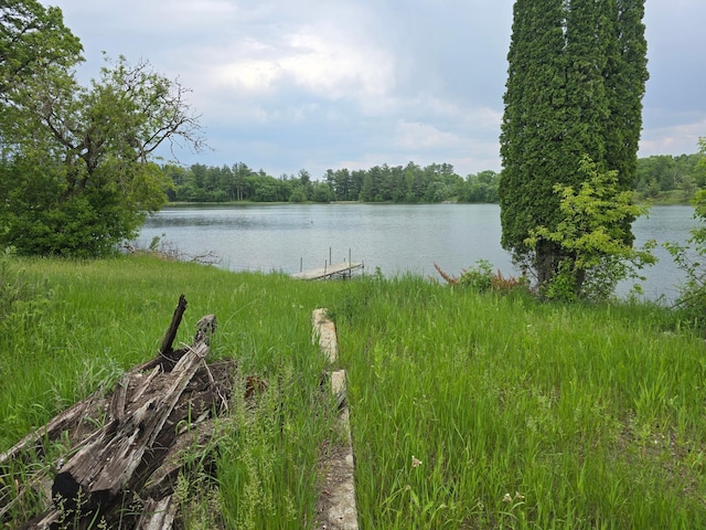 14901 County Highway 29, Burlington Twp, MN 56544 - water view with a heavily wooded area