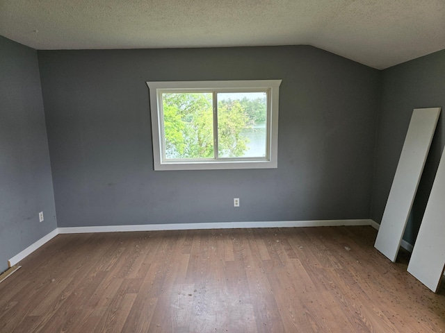 14901 County Highway 29, Burlington Twp, MN 56544 - unfurnished room with wood finished floors, lofted ceiling, and a textured ceiling