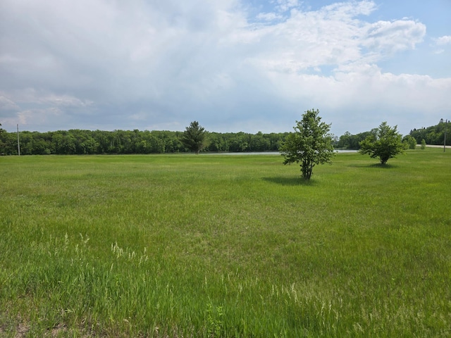 14901 County Highway 29, Burlington Twp, MN 56544 - view of grassy yard with a rural view