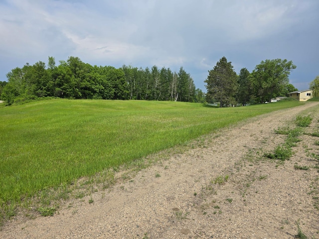 14901 County Highway 29, Burlington Twp, MN 56544 - view of yard