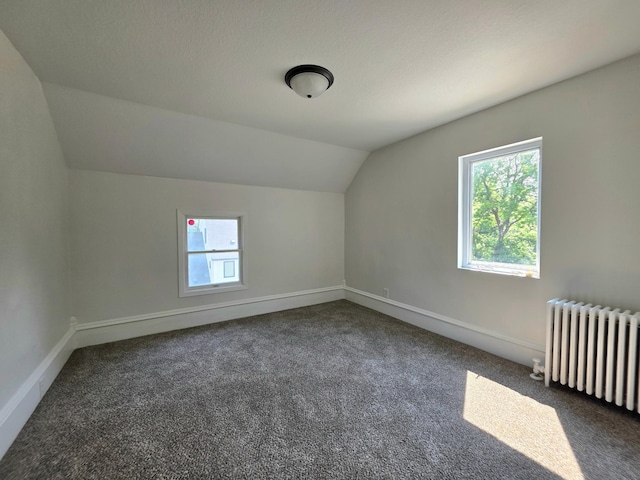 4157 Main St, Saint Bonifacius, MN 55375 - photo 22