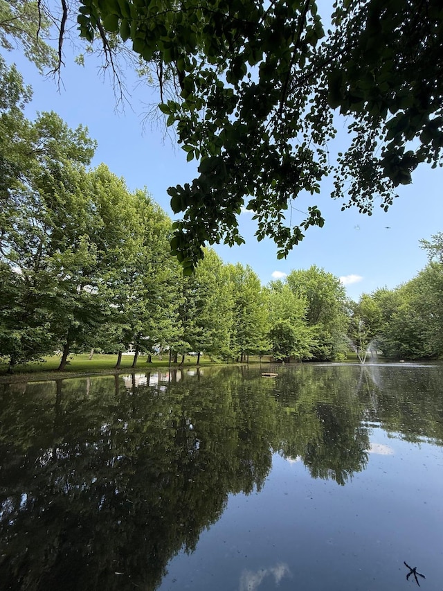 4527 Cushing Ave NW, Buffalo, MN 55313 - water view