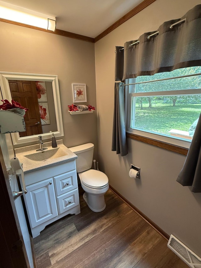 4527 Cushing Ave NW, Buffalo, MN 55313 - bathroom featuring wood finished floors, ornamental molding, and vanity