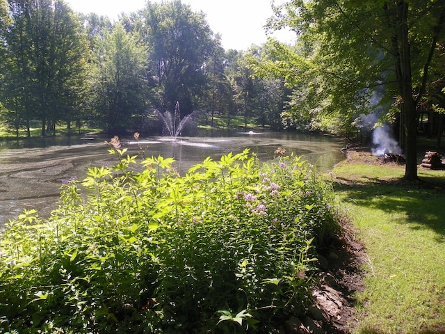 4527 Cushing Ave NW, Buffalo, MN 55313 - view of yard featuring a water view