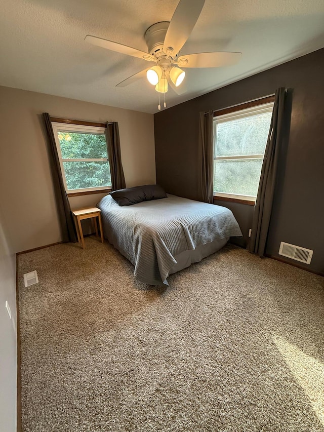 4527 Cushing Ave NW, Buffalo, MN 55313 - carpeted bedroom featuring multiple windows and ceiling fan