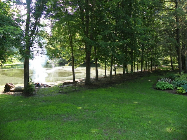 4527 Cushing Ave NW, Buffalo, MN 55313 - view of grassy yard