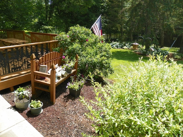 4527 Cushing Ave NW, Buffalo, MN 55313 - view of yard featuring a deck