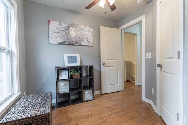 801 Union Ave, Fergus Falls, MN 56537 - photo 26