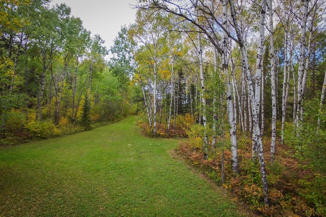 TBD 120th St, Wannaska, MN 56761 - photo 7