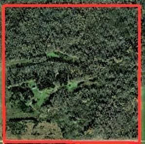 TBD 120th St, Wannaska, MN 56761 - photo 10