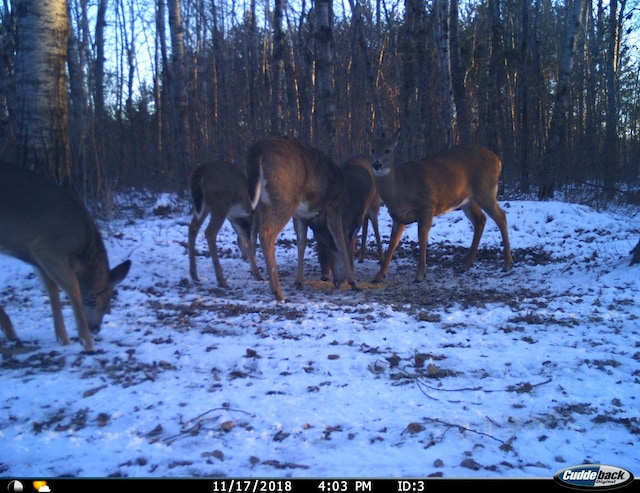 TBD 120th St, Wannaska, MN 56761 - photo 11