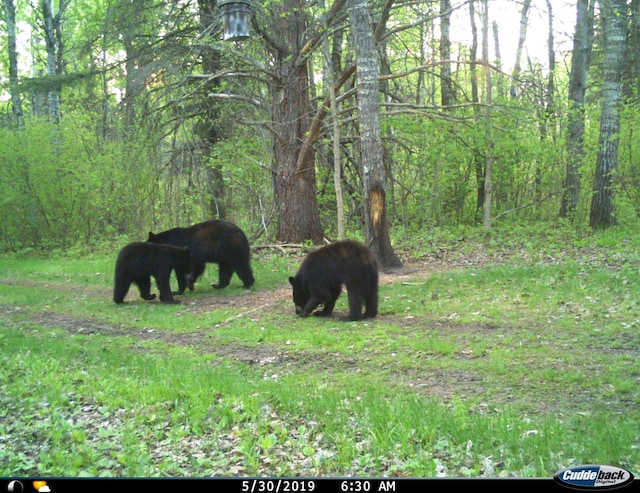 TBD 120th St, Wannaska, MN 56761 - photo 12