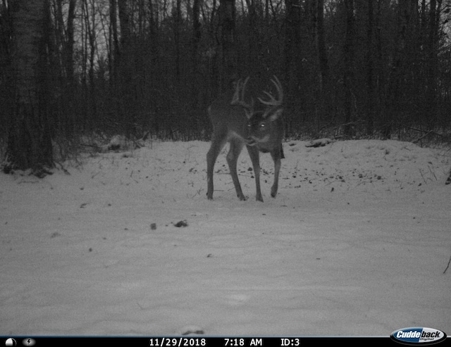 TBD 120th St, Wannaska, MN 56761 - photo 15