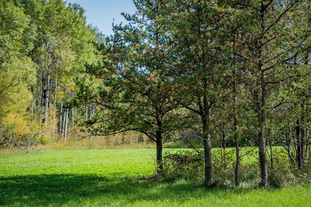 TBD 120th St, Wannaska, MN 56761 - photo 22