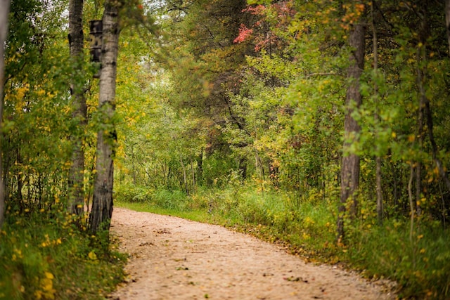 TBD 120th St, Wannaska, MN 56761 - photo 23