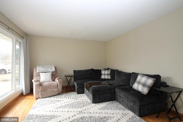 10628 Direct River Dr NW, Coon Rapids, MN 55433 - living area with wood finished floors