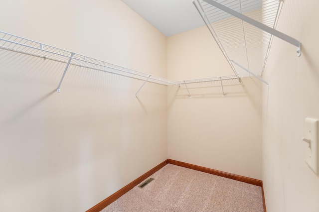 2309 Teakwood Ln SW, Rochester, MN 55902 - walk in closet with carpet floors