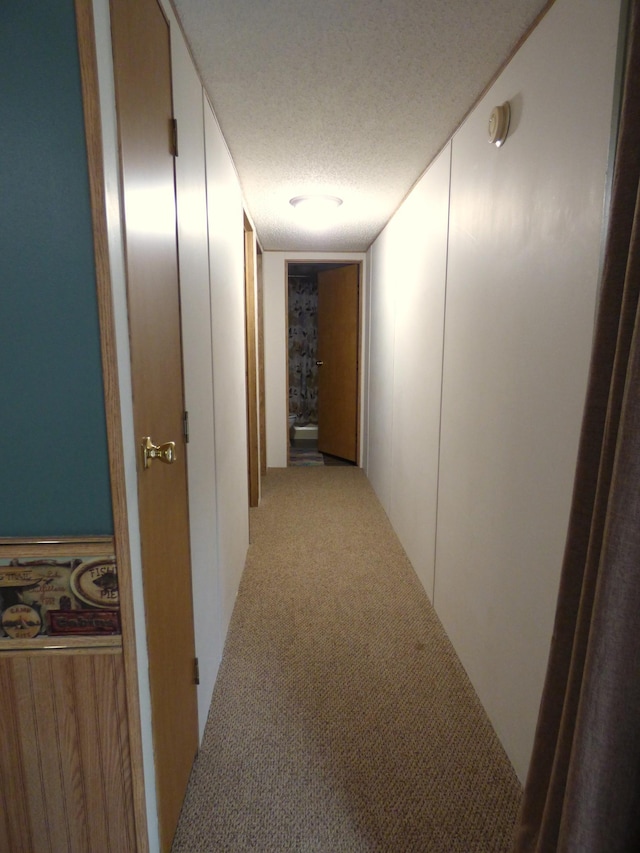 41621 Channel Rd, Ottertail, MN 56571 - photo 65
