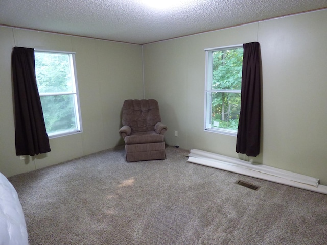 41621 Channel Rd, Ottertail, MN 56571 - photo 63