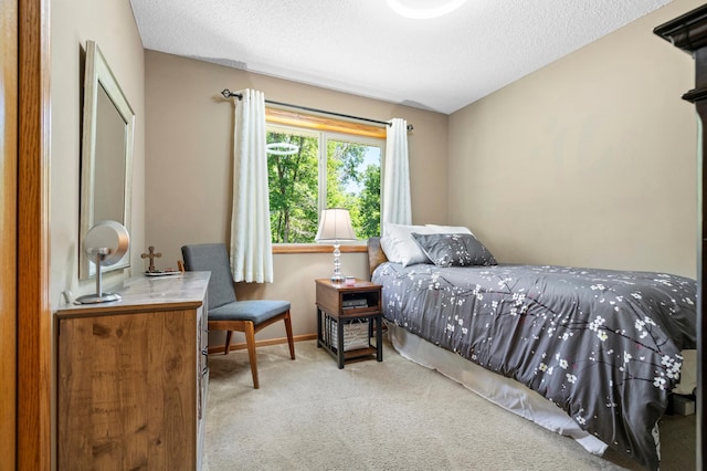 15784 103rd St SE, Becker Twp, MN 55308 - bedroom with carpet flooring and a textured ceiling