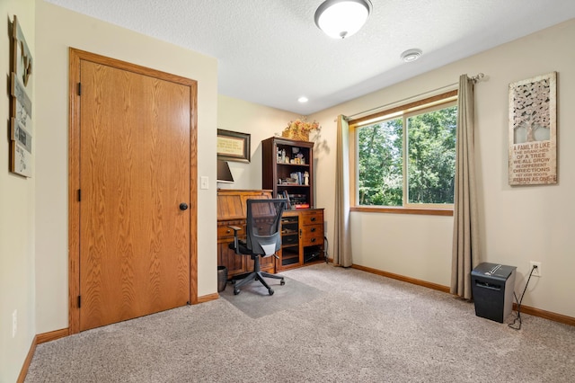 15784 103rd St SE, Becker Twp, MN 55308 - carpeted office with baseboards and a textured ceiling