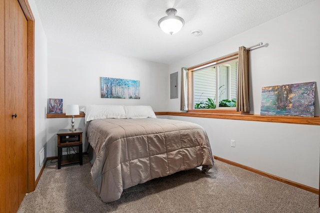 15784 103rd St SE, Becker Twp, MN 55308 - bedroom featuring carpet flooring, a textured ceiling, electric panel, and a closet