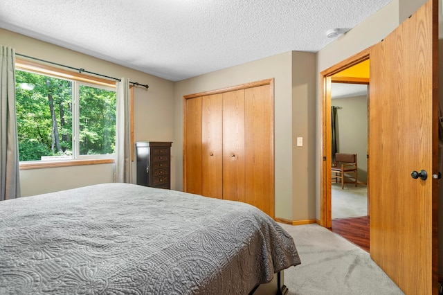 15784 103rd St SE, Becker Twp, MN 55308 - carpeted bedroom with a closet and a textured ceiling