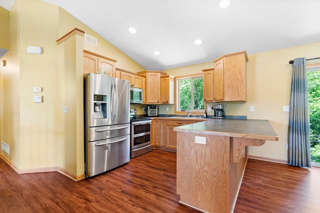 15784 103rd St SE, Becker Twp, MN 55308 - kitchen featuring a peninsula, appliances with stainless steel finishes, light brown cabinetry, dark wood finished floors, and lofted ceiling