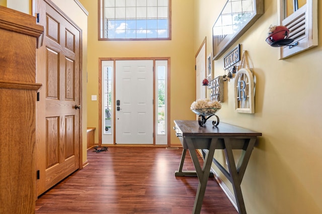 15784 103rd St SE, Becker Twp, MN 55308 - entrance foyer with dark wood-style floors, healthy amount of natural light, and a towering ceiling
