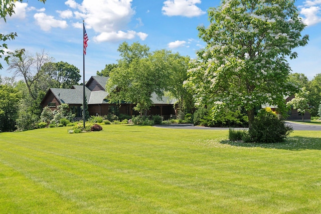 9449 Ehler Ave SE, Delano, MN 55328 - view of green lawn