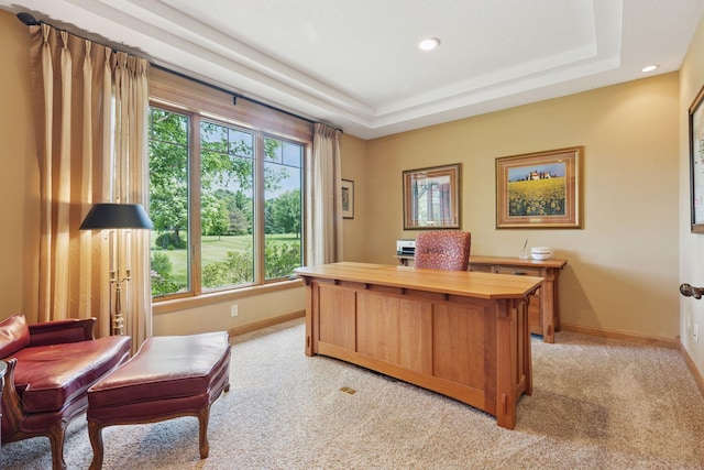 9449 Ehler Ave SE, Delano, MN 55328 - office space featuring light carpet, recessed lighting, and a tray ceiling
