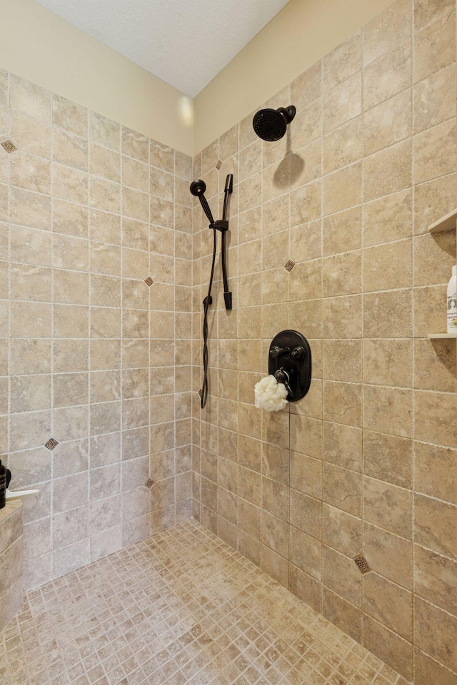 9449 Ehler Ave SE, Delano, MN 55328 - bathroom featuring tiled shower