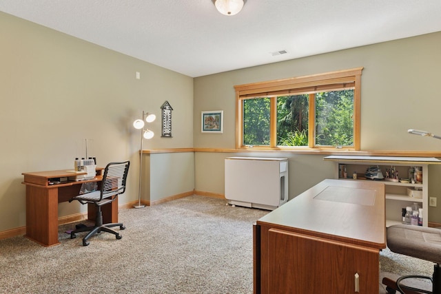 9449 Ehler Ave SE, Delano, MN 55328 - carpeted home office with baseboards