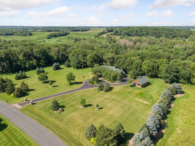 9449 Ehler Ave SE, Delano, MN 55328 - aerial view of a forest