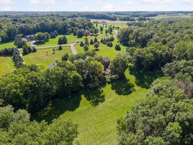 9449 Ehler Ave SE, Delano, MN 55328 - view of rural area