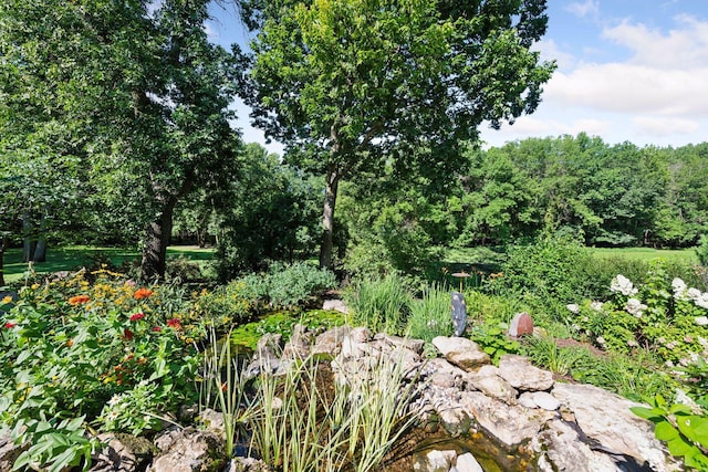 9449 Ehler Ave SE, Delano, MN 55328 - view of local wilderness