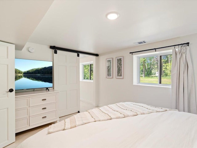 12698 Omega Ln, Center Twp, MN 56465 - bedroom with a barn door