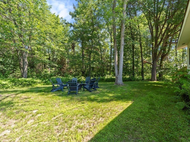 12698 Omega Ln, Center Twp, MN 56465 - view of grassy yard