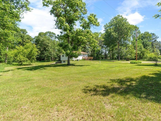 12698 Omega Ln, Center Twp, MN 56465 - view of green lawn