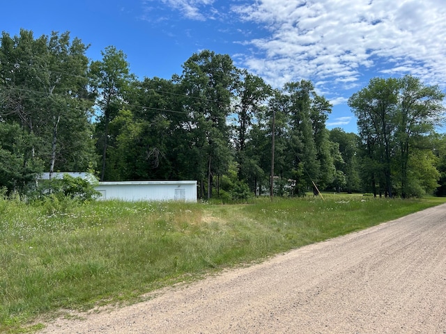 12698 Omega Ln, Center Twp, MN 56465 - view of dirt / gravel road