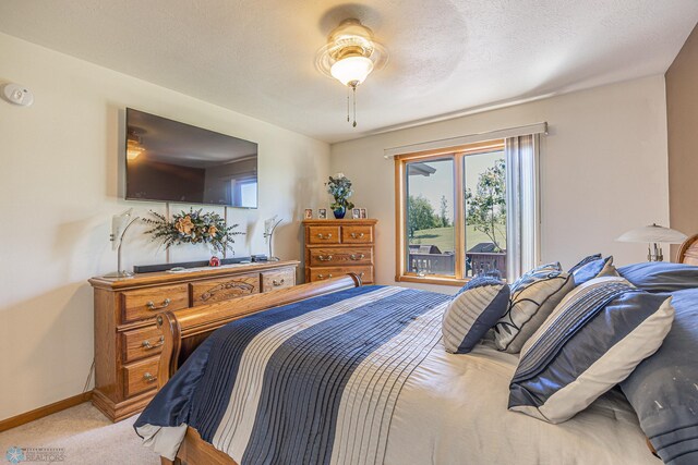 17123 Lakeview Ln, Audubon, MN 56511 - bedroom featuring light carpet and ceiling fan