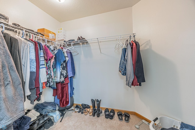 17123 Lakeview Ln, Audubon, MN 56511 - spacious closet featuring carpet floors