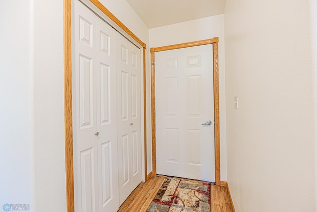 17123 Lakeview Ln, Audubon, MN 56511 - hall with light wood-type flooring