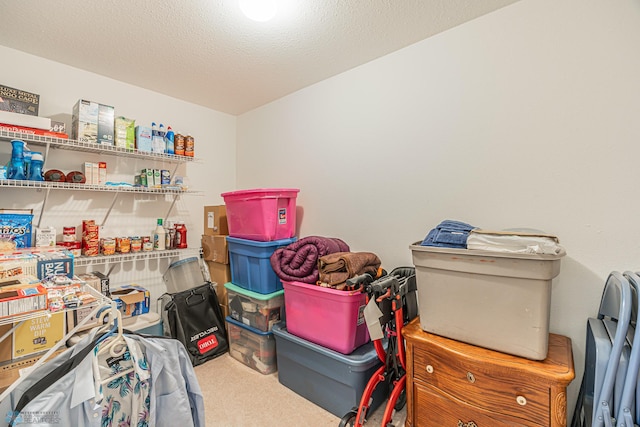 17123 Lakeview Ln, Audubon, MN 56511 - view of storage area